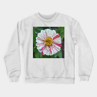 Pink, White, and Yellow Splatter Flower Photographic Image Crewneck Sweatshirt